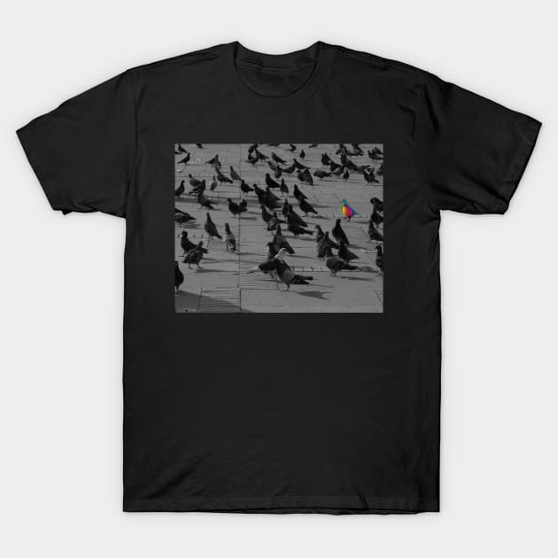 Pigeons T-Shirt by FollowHedgehog